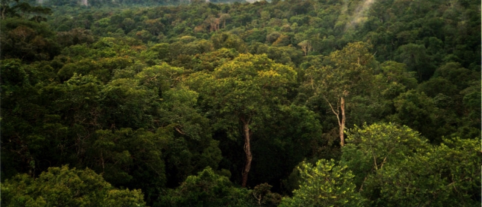 Hutan Amazon &amp; Gurun Sahara akan saling Tertukar