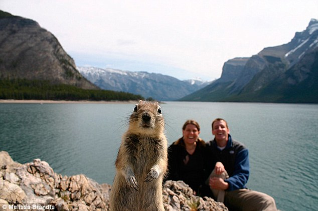 10 Photobomb Paling Keren