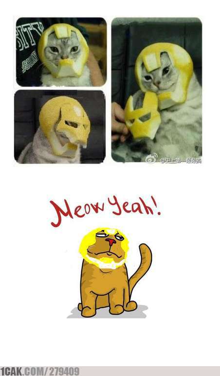 Sumpah gan, Komik ini Bikin ane ngakak ampe nangis!!