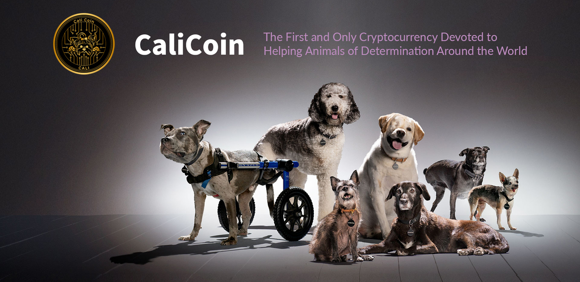 CaliCoin – Helping the Most Vulnerable on the Planet