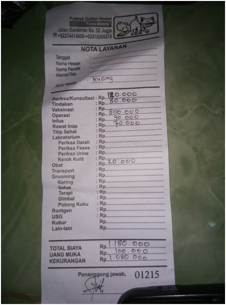 Wajib Baca untuk catlovers!!Ketidakkonsistenan Klinik Hewan Kayu Manis Yogyakarta