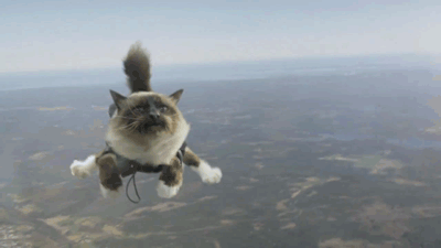 Kumpulan Animasi Kucing Yang Luthu bin Unyu