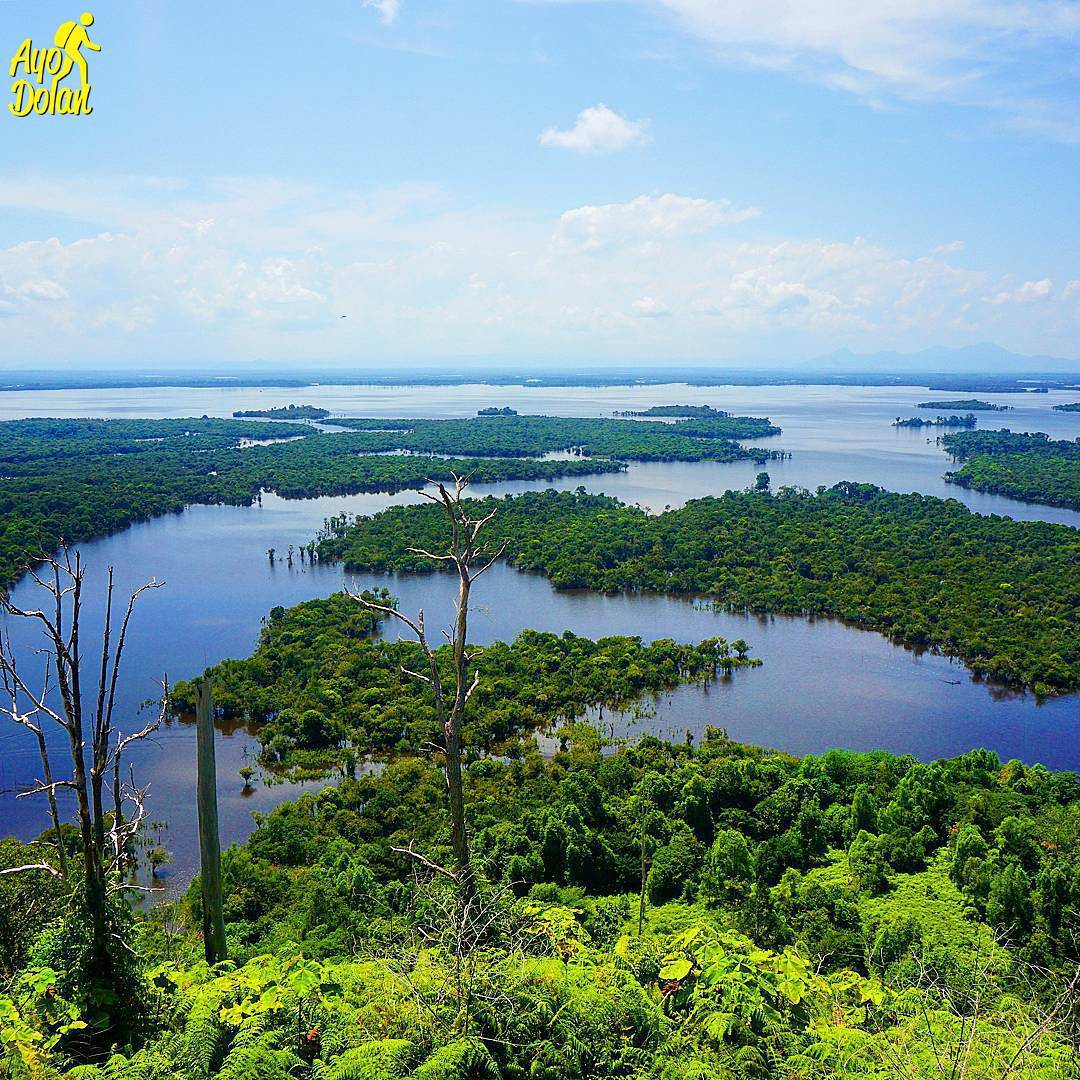 Mengenal Sungai Kapuas, Sungai Terpanjang di Indonesia.