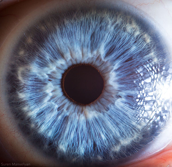 Extreme , Foto Foto Pupil Mata Jika Di Close Up !!!