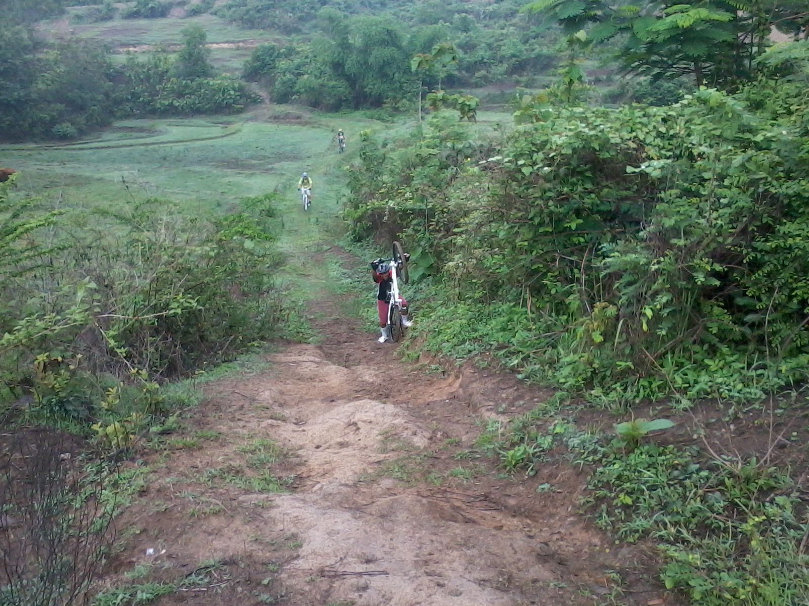 9733-9733-9733-koskas-solo-9733-9733-9733-seng-seneng-pit2an-mlebu-rene-no-junk