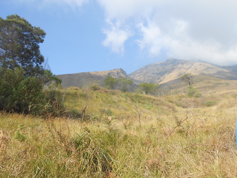 &#91;CATPER&#93; sis lain Sumbing via Bowongso 16-17 Agustus 2015