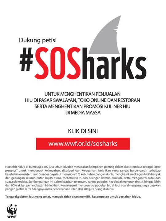 #SOSharks - Save Our Sharks - Save Our Seafood - Save Our Ocean