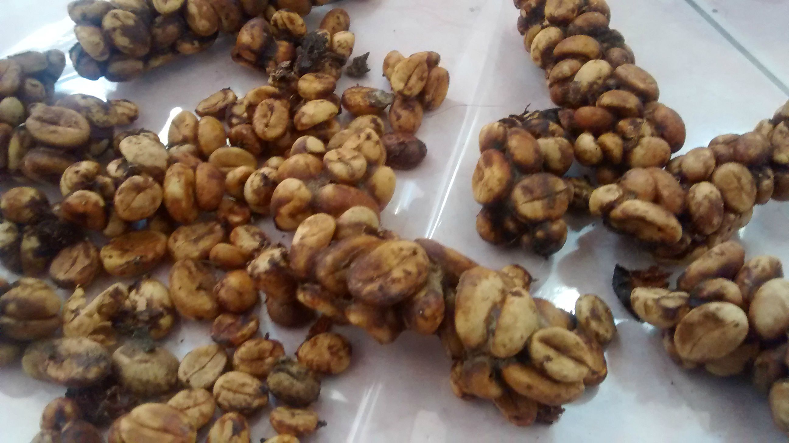 fjb-regional-karesidenan-pati