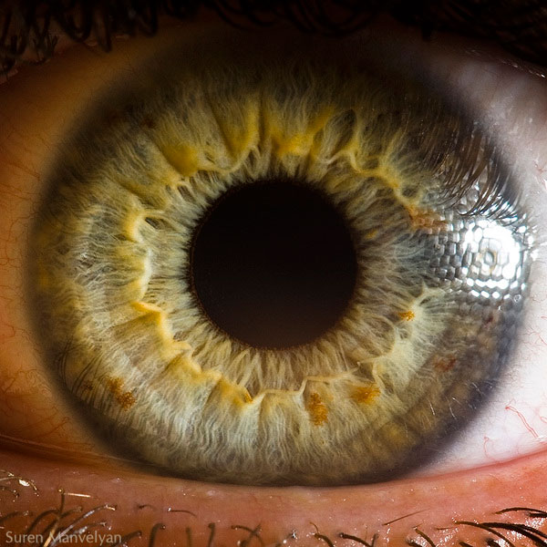 Extreme , Foto Foto Pupil Mata Jika Di Close Up !!!