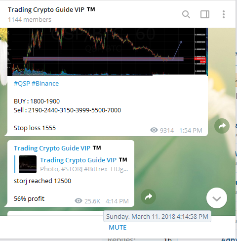 Signal Trading PREMIUM Seharga 0.15BTC Dijual 0.015Btc,Profit 500%-1000%/Bulan