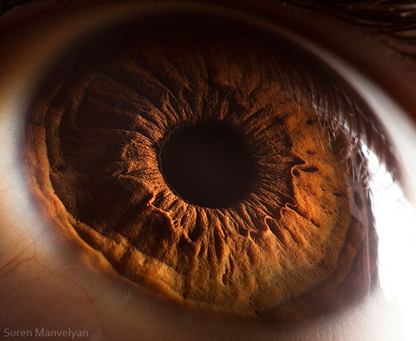 Extreme , Foto Foto Pupil Mata Jika Di Close Up !!!