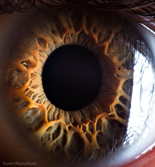 Extreme , Foto Foto Pupil Mata Jika Di Close Up !!!