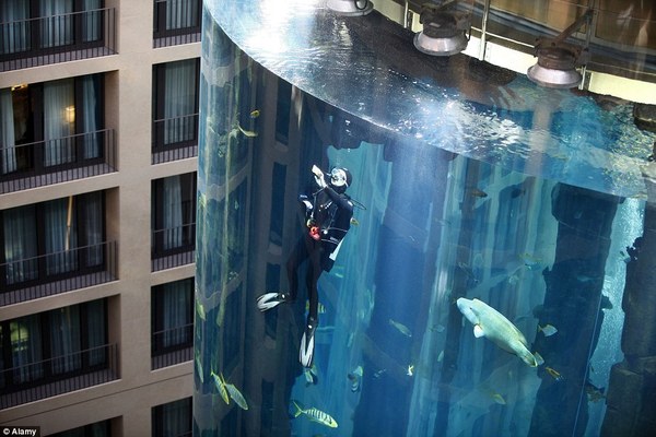 Ada Lift Di Dalam Aquarium Tertinggi Di Dunia?