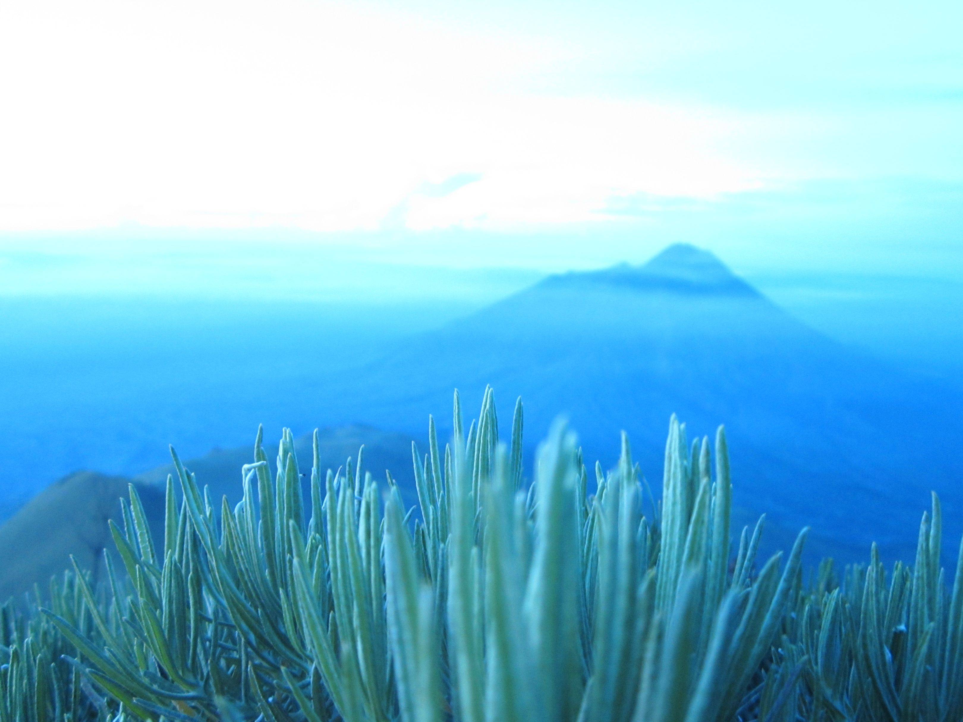 ~MERBABU~ hasil jepretan ane, dijamin gak nyesel :D