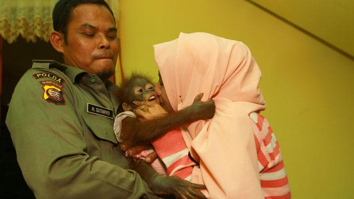 Kisah Gadis Cantik dengan Orangutan yang Dianggap Seperti Adik Sendiri