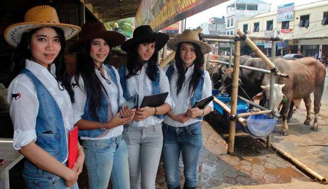 LADIES COWBOY. strategi unik jual SAPI KURBAN