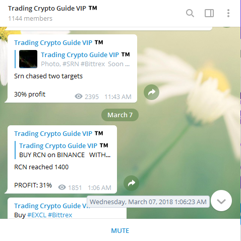 Signal Trading PREMIUM Seharga 0.15BTC Dijual 0.015Btc,Profit 500%-1000%/Bulan