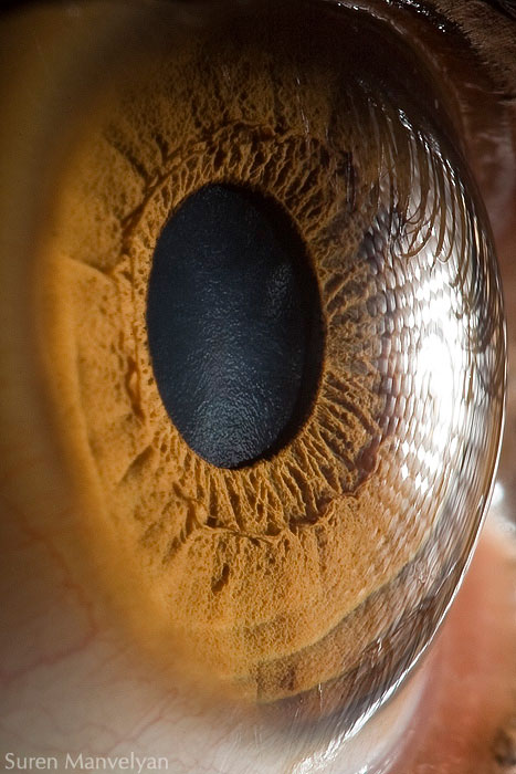 Extreme , Foto Foto Pupil Mata Jika Di Close Up !!!
