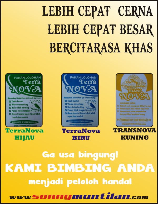 Pakan / bubur lolohan/handfeed/HF untuk piyik burung kenari,parkit,love bird,parbeng