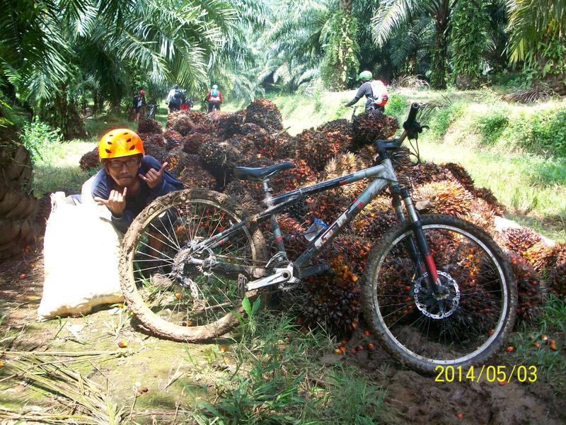 post-image