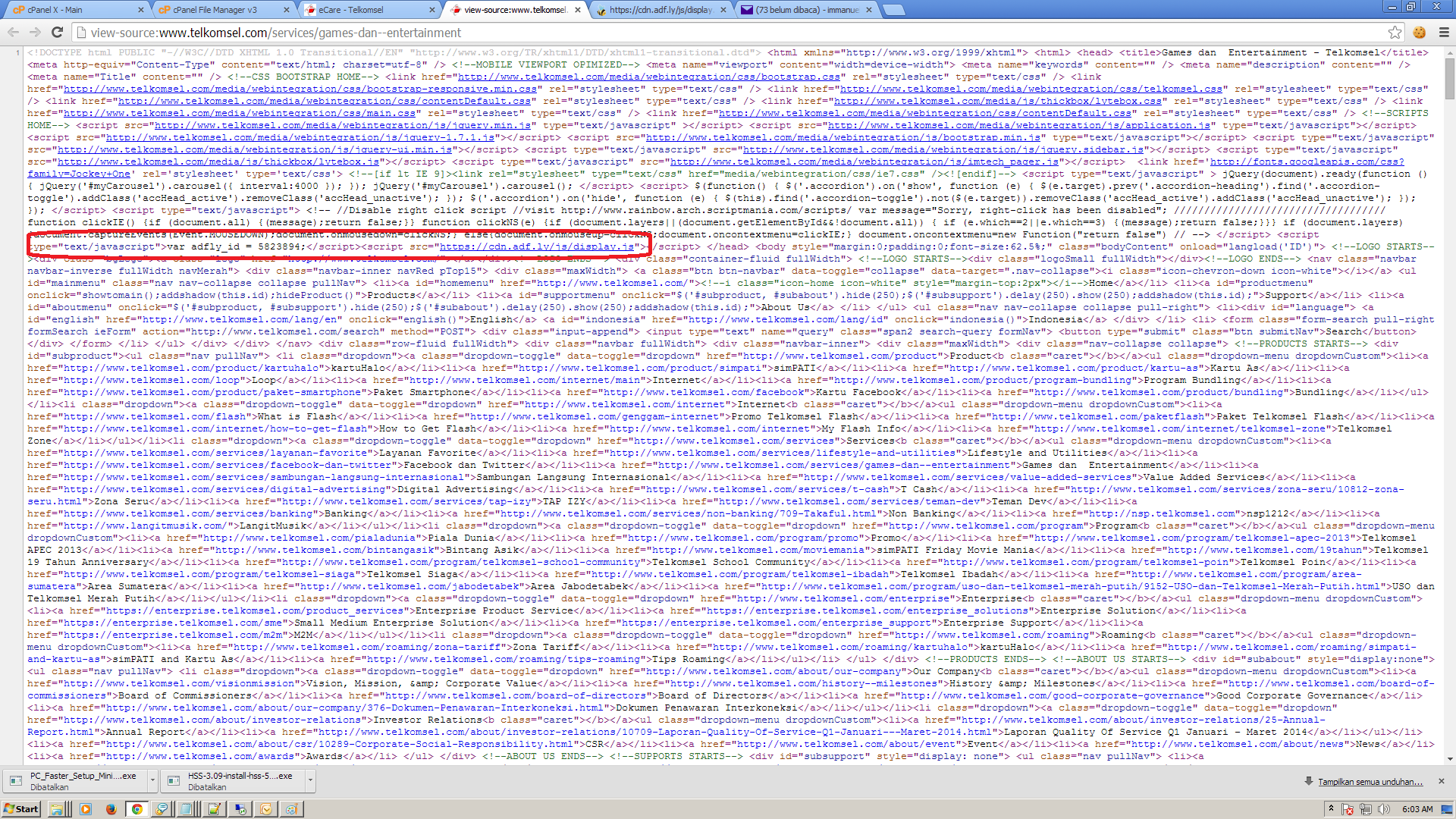 Kenapa Website Sekelas Telkomsel Mencari Sampingan