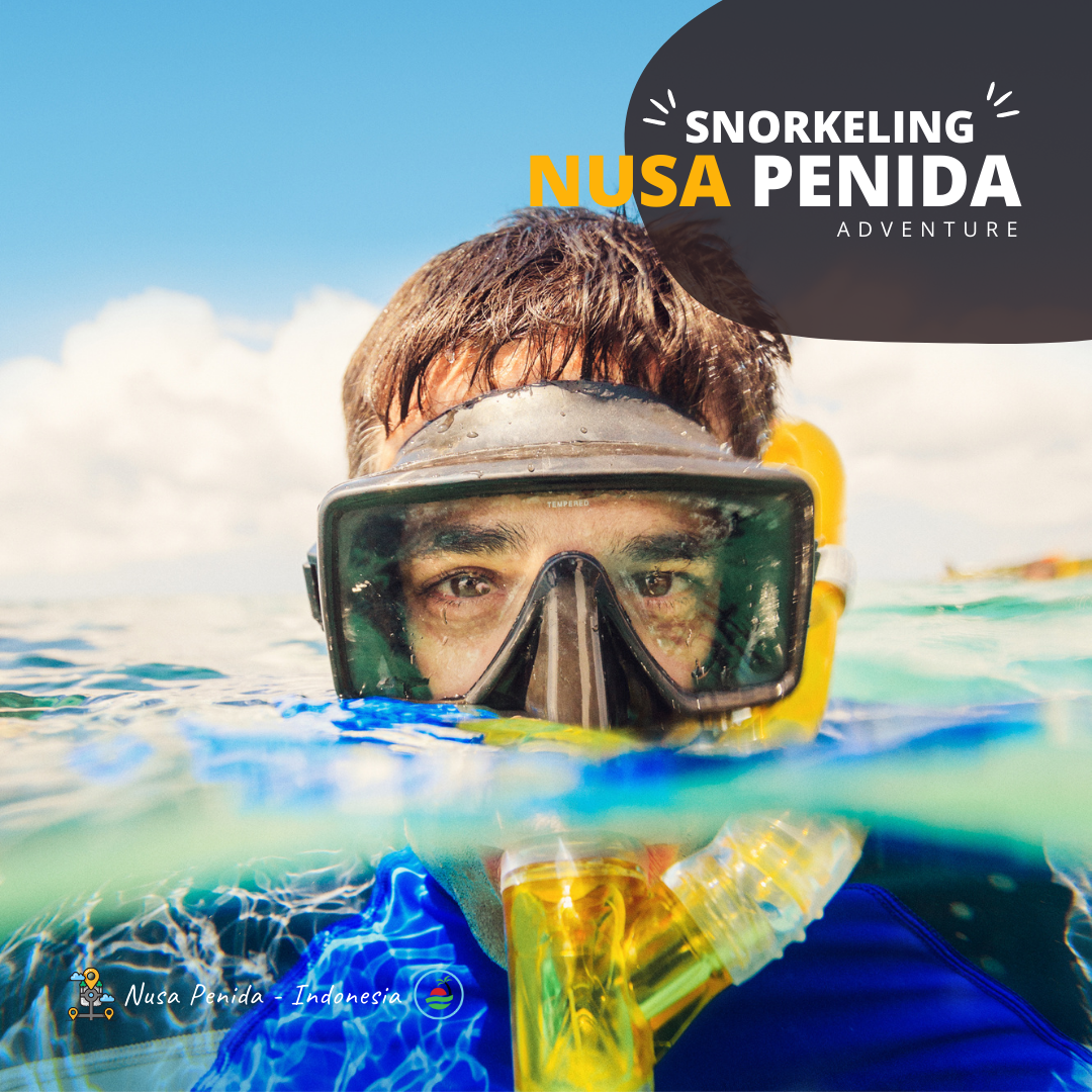 Harga Snorkeling Di Nusa Penida Promo