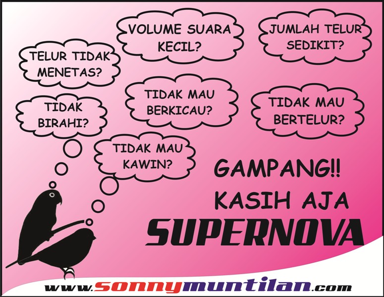 Pakan SUPERNOVA suplemen birahi untuk produksi telur burung lovebird, kenari, parkit