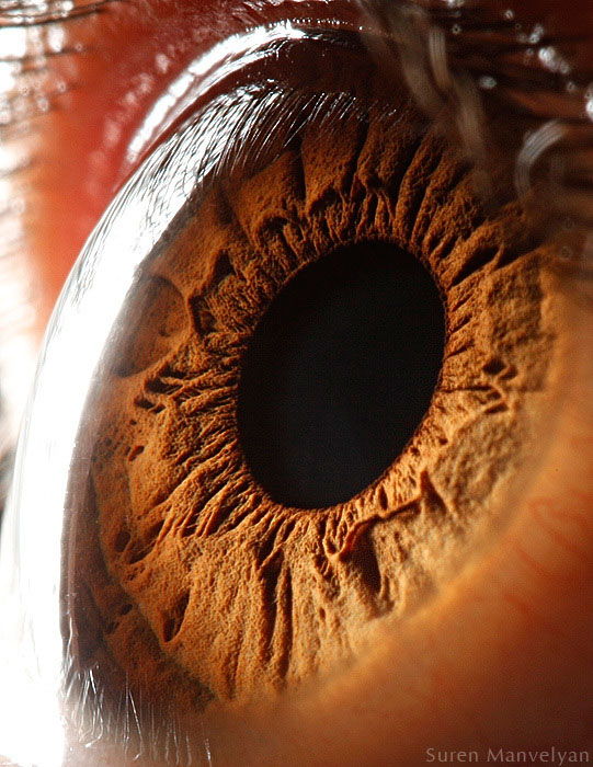 Extreme , Foto Foto Pupil Mata Jika Di Close Up !!!