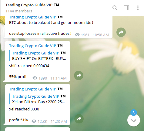 Signal Trading PREMIUM Seharga 0.15BTC Dijual 0.015Btc,Profit 500%-1000%/Bulan