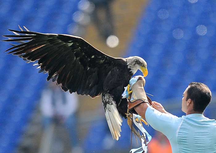 Lazio vs Juventus, Sang Elang siap memecah kedigdayaan Si Nyonya Besar!