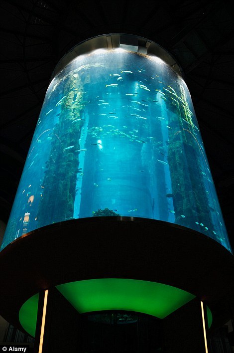 Ada Lift Di Dalam Aquarium Tertinggi Di Dunia?