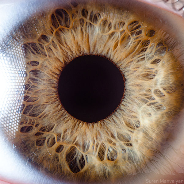 Extreme , Foto Foto Pupil Mata Jika Di Close Up !!!