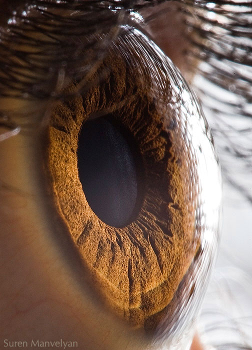 Extreme , Foto Foto Pupil Mata Jika Di Close Up !!!