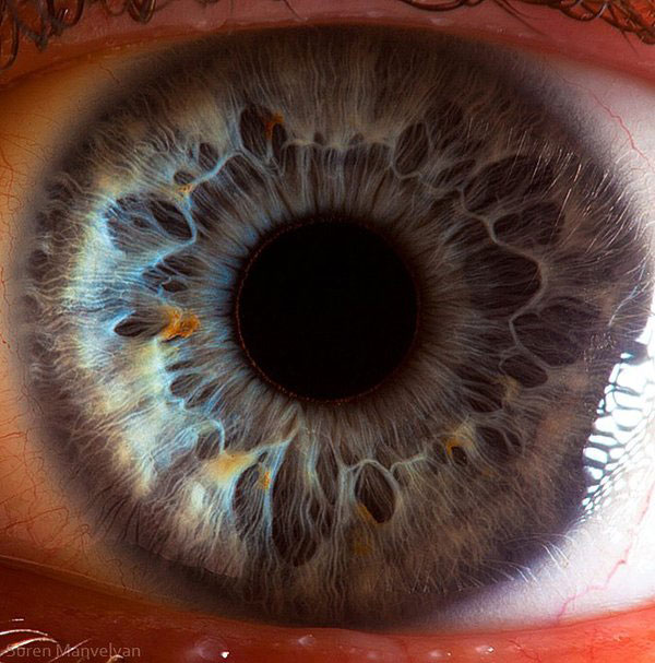 Extreme , Foto Foto Pupil Mata Jika Di Close Up !!!