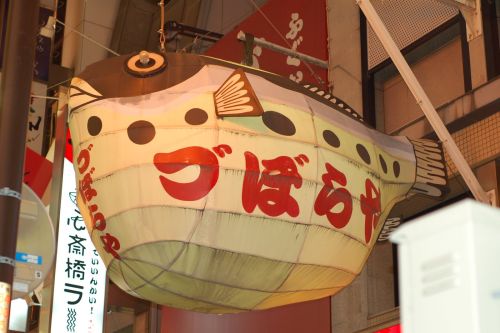 Berani makan ikan Fugu?