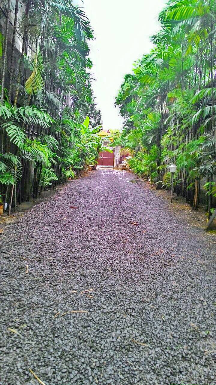 Rumah Asri dan Tenang Dijual di Kavling Deplu Pondom Aren Bintaro