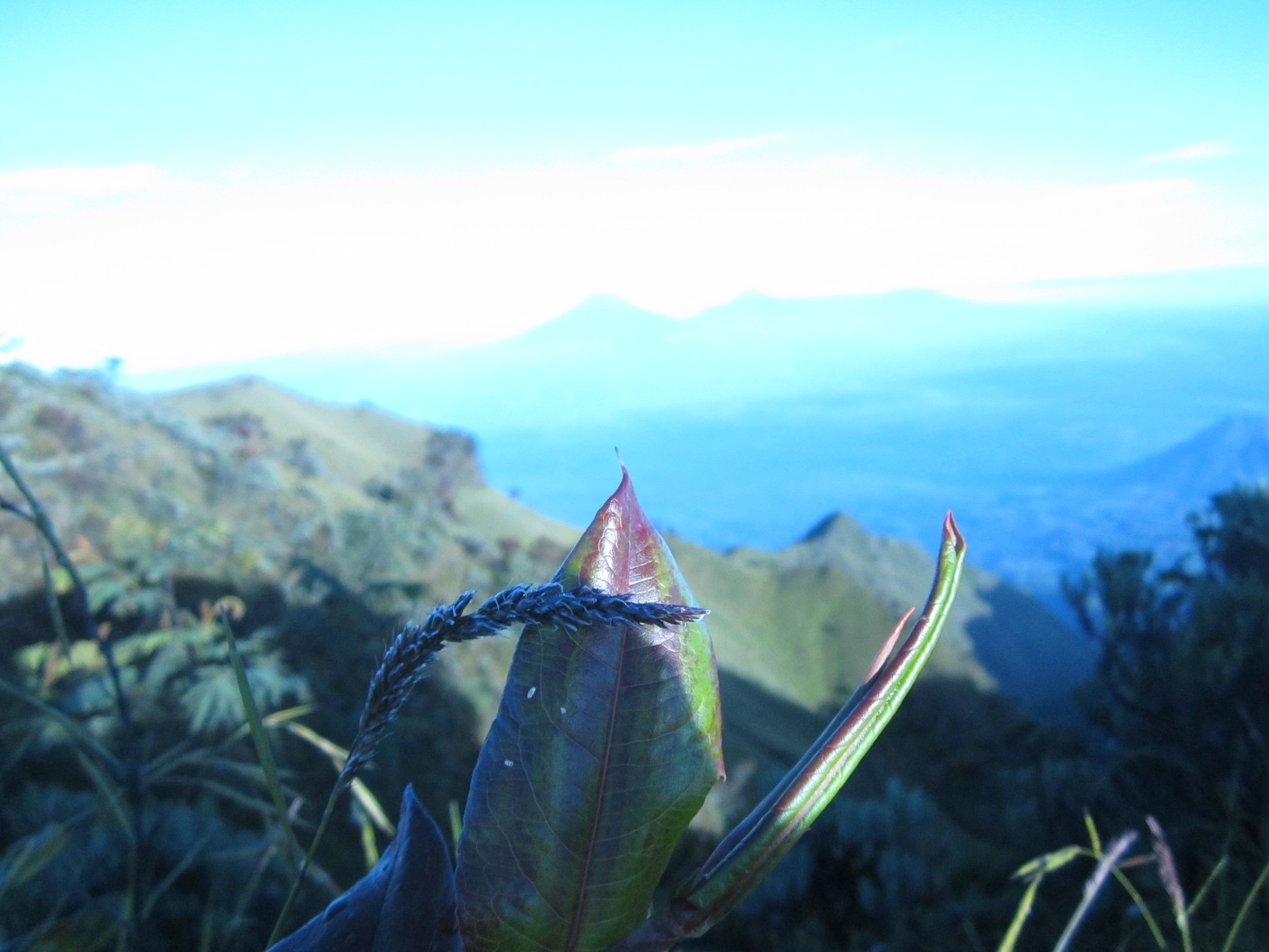 ~MERBABU~ hasil jepretan ane, dijamin gak nyesel :D