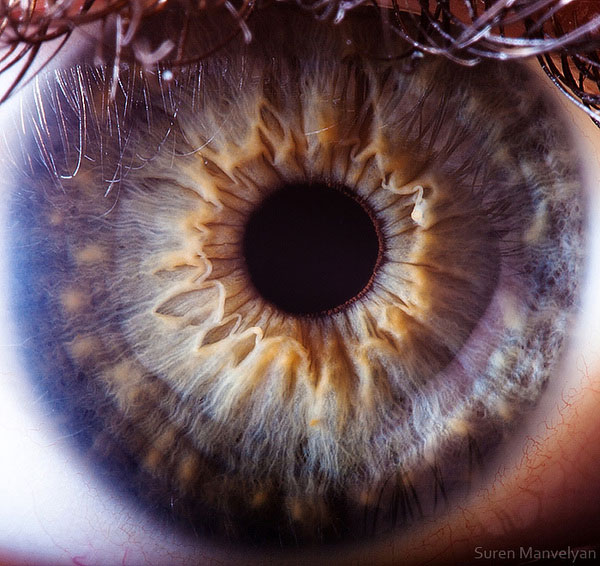 Extreme , Foto Foto Pupil Mata Jika Di Close Up !!!