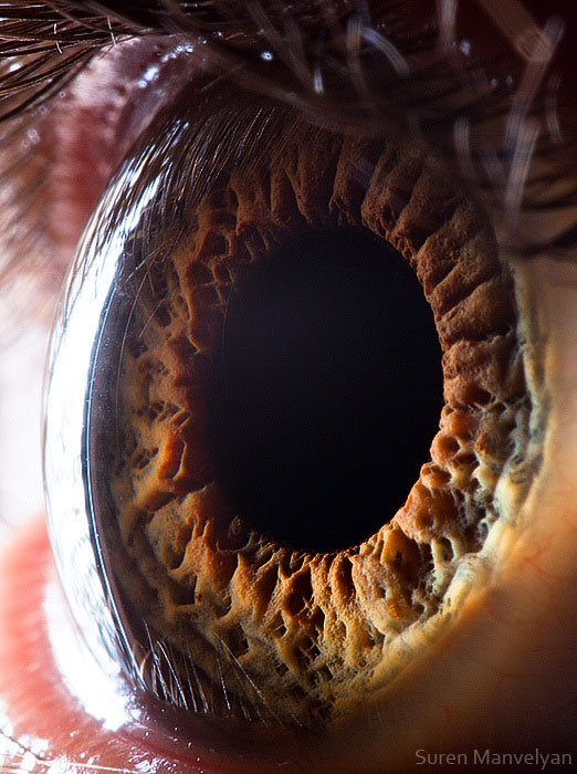 Extreme , Foto Foto Pupil Mata Jika Di Close Up !!!