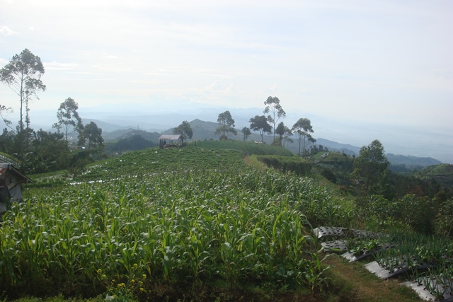 Slamet via Gn.Malang 5-6 Mei 2016