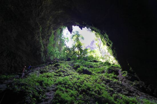 Petualangan Mencari Cahaya Surga Di Gua Jomblang, Gunung Kidul, Yogyakarta