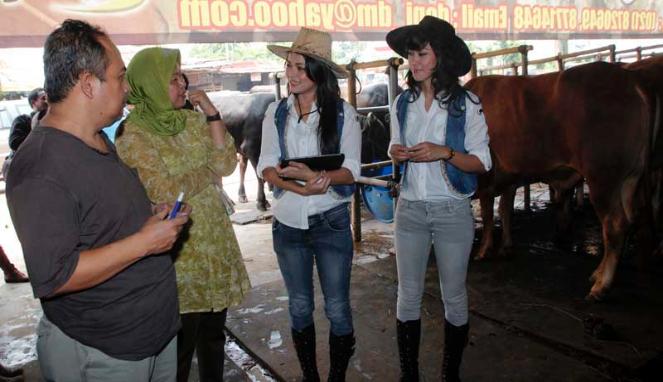 LADIES COWBOY. strategi unik jual SAPI KURBAN