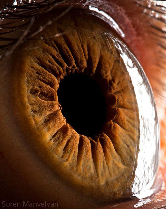 Extreme , Foto Foto Pupil Mata Jika Di Close Up !!!