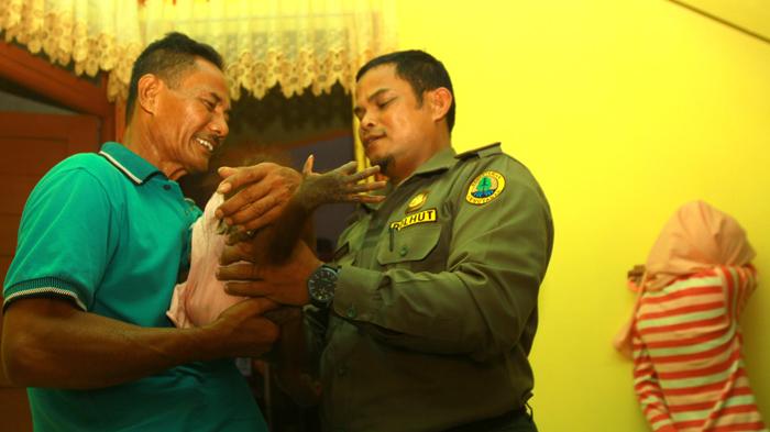 Kisah Gadis Cantik dengan Orangutan yang Dianggap Seperti Adik Sendiri