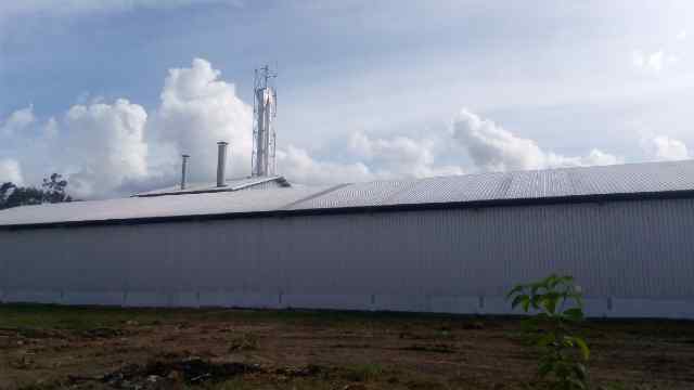 Ini dia gan, Pabrik Sagu terbesar di Indonesia ternyata ada di Papua