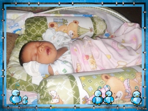 9733--expecto-petronum-9733