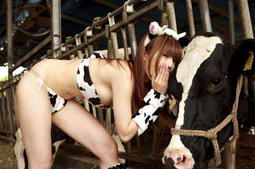 &#91;Pustun News&#93; Daging Sapi Merangkak Naik?Siapa Yg Untung?Akankah bisa turun?