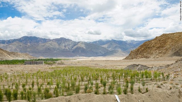 Gletser di Gurun Ladakh India Utara