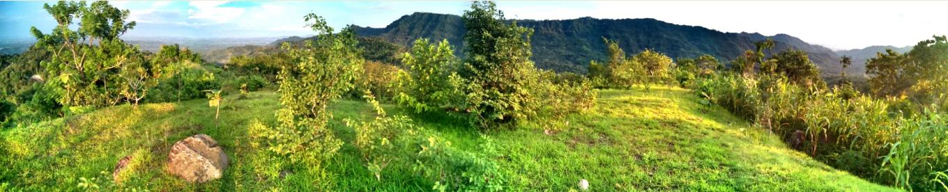 Berwisata ke Green Village Gedangsari, Selandia Baru nya JOGJA!