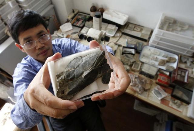 Ini dia Gan foto ikan lapis baja berusia 419 juta tahun ditemukan di China